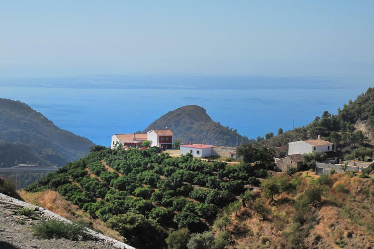 Villa Francisca Málaga Extérieur photo